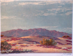 John W. Hilton Print Flowering Dunes
