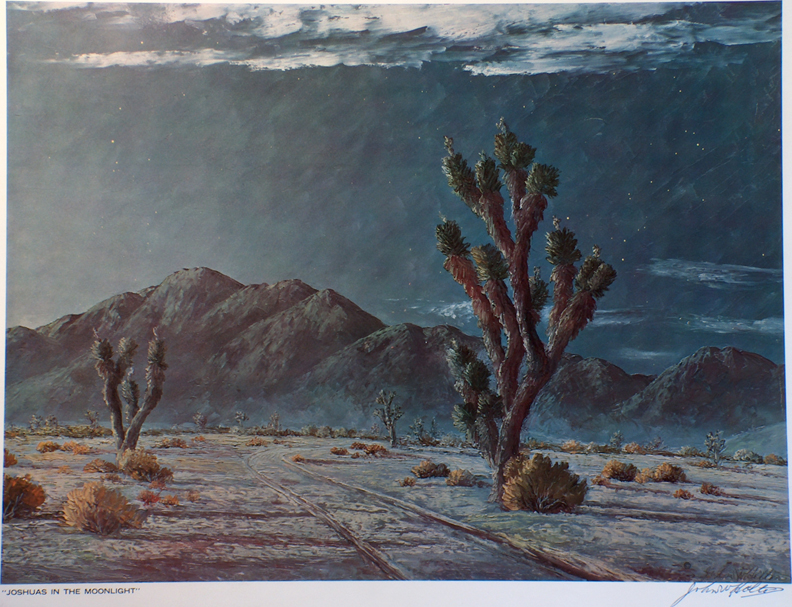 John W Hilton Print Joshuas in the Moonlight
