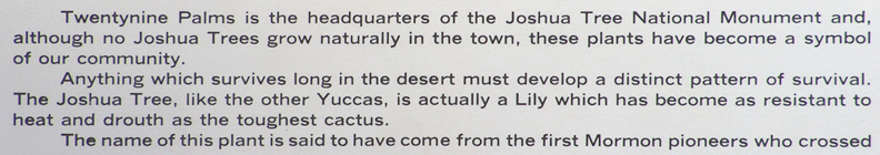 John W Hilton Print Joshuas in the Moonlight Caption 1