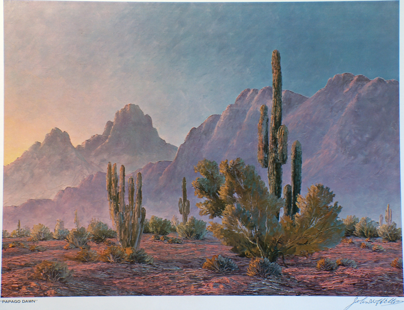 Printbin John W Hilton Papago Dawn