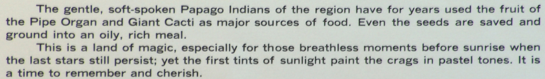 Printbin John W Hilton Papago Dawn Caption 2