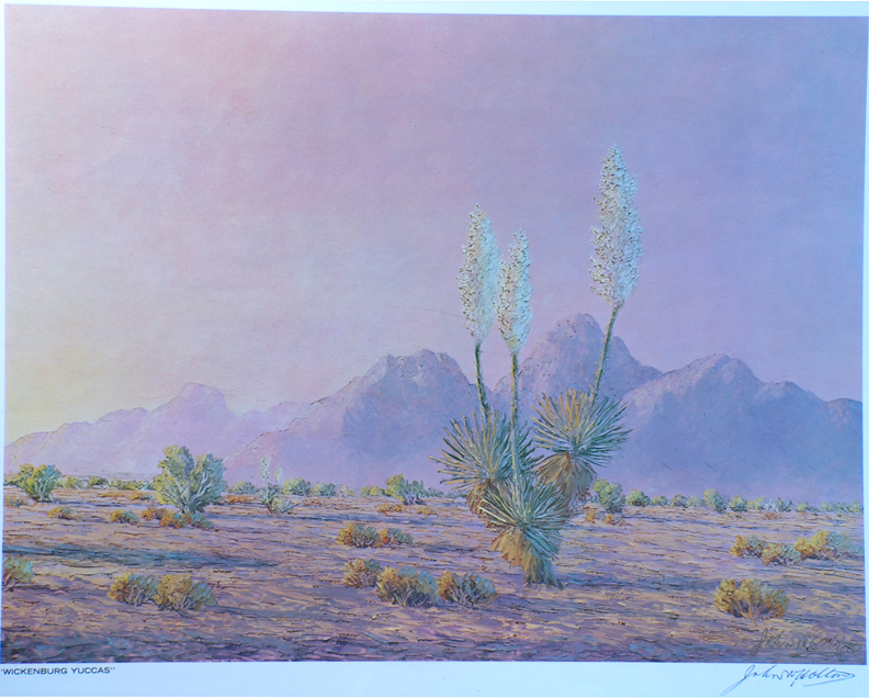 Printbin John W Hilton Wickenburg Yuccas