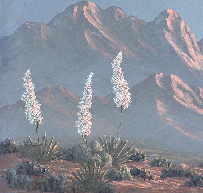 Kathi Hilton Flowering White Yuccas Closeup