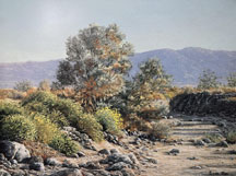 Linda Lee Kinman, Arroyo Salado Smoketree, signed and numbered vintage print
