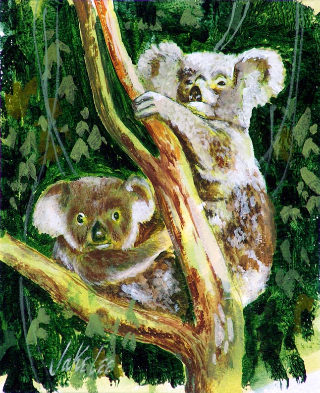 Jake Lee, Koalas