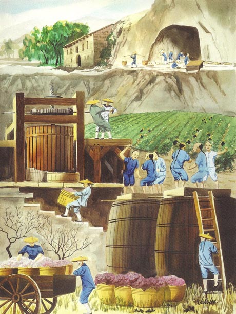 Jake Lee Vineyard Workers in Sonoma County