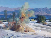 Ralph Love Near the Salton Sea Midsized Thumbnail
