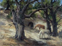 Joshua Meador Old Pasture Midsized Thumbnail