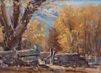 Joshua Meador Quaking Aspens Thumbnail