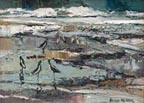 Joshua Meador Sandpipers Thumbnail
