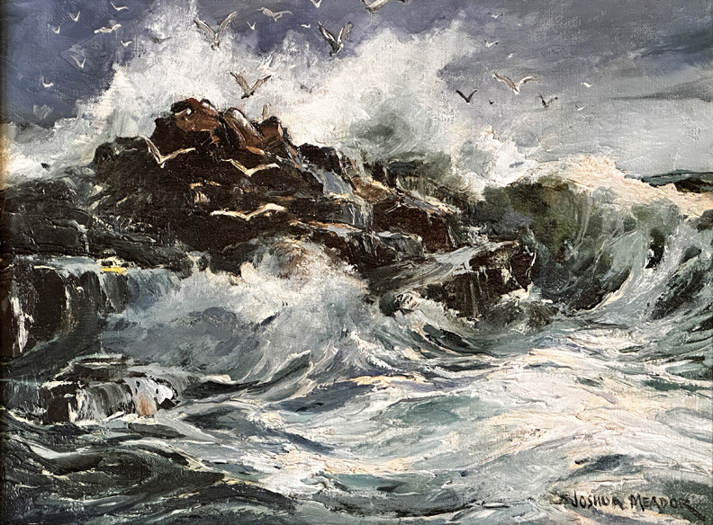 Joshua Meador, Surpize, Carmel Coast