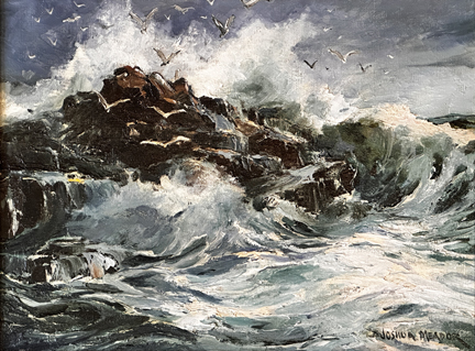 Joshua Meador, Surpize, Carmel Coast