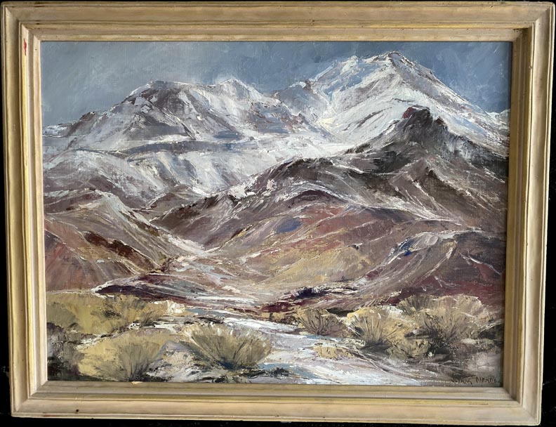 Joshua Meador Web of Snow