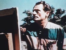 Joshua Meador Walt Disney's Four Artists Paint One Tree 1