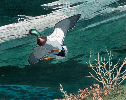 James Marach Phillips, Landing Mallard