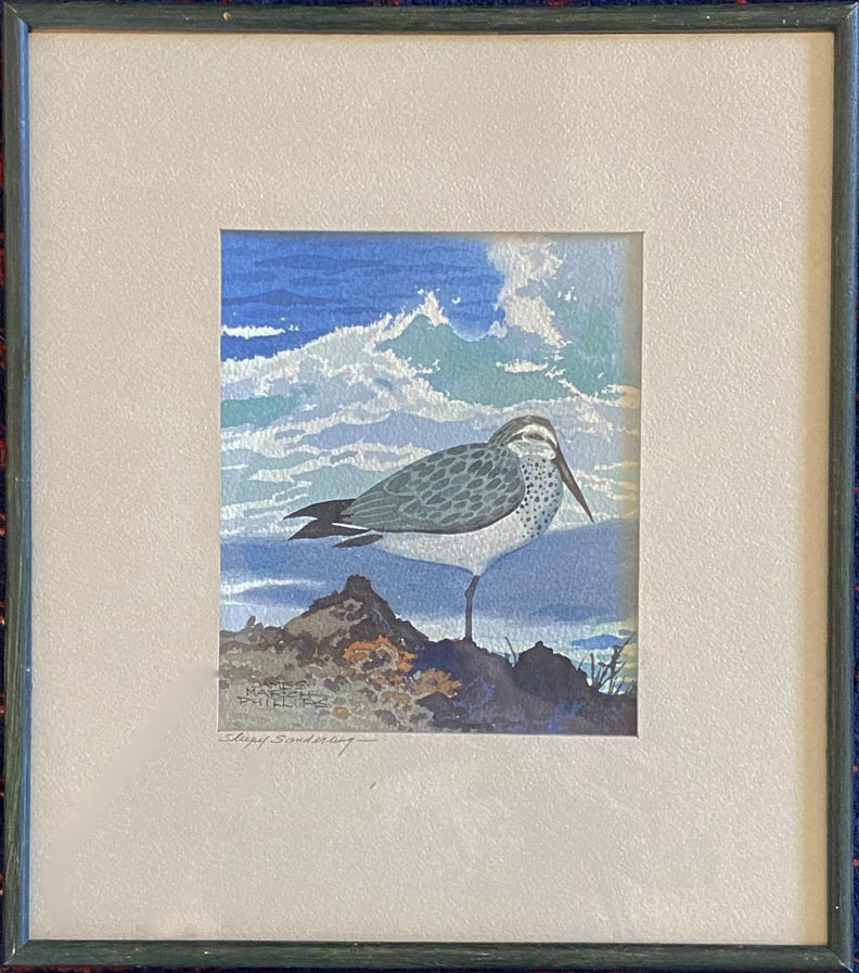 Sleepy Sanderling  Watercolor, 7.25" x 6" Overall, 13 3/4" x 12" 