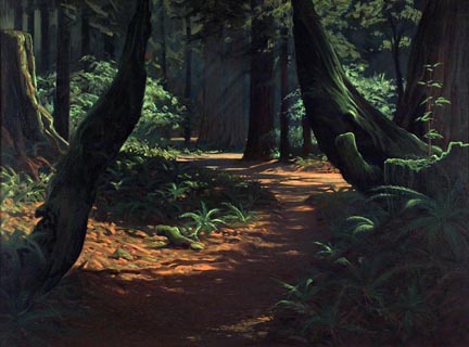 Robert Rishell Redwoods