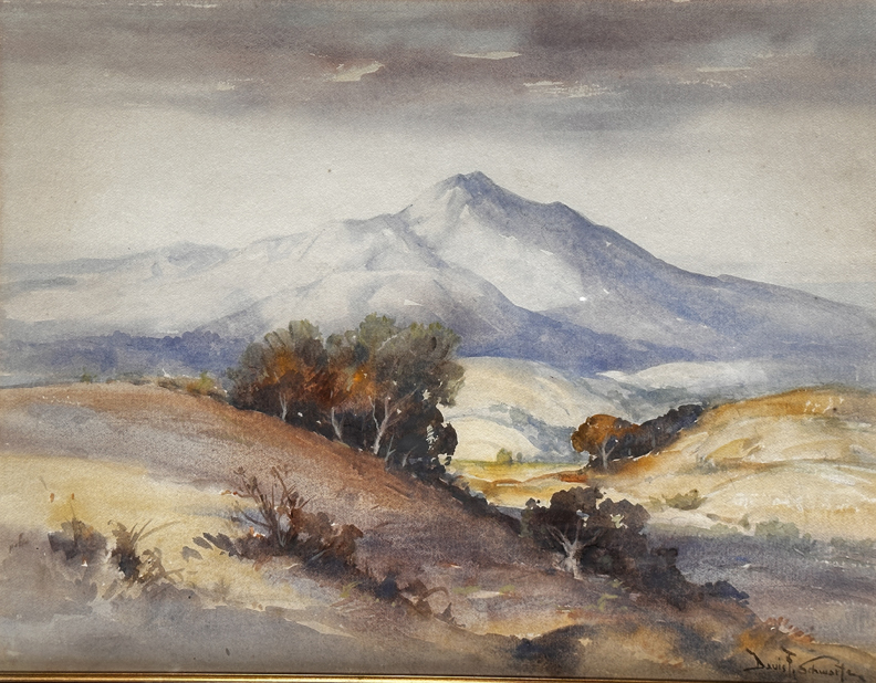Davis Francis Schwartz, Mount Tamalpais