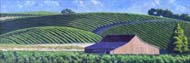 Linda Sorensen Sonoma Verde