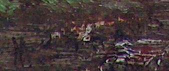 Meyer Straus Cows in Stream