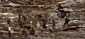 Meyer Straus, Cows in Forest Stream, 1882 / date