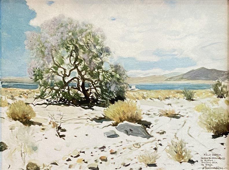 James Swinnerton, print of an oil sketch entitled Desert Ironwood in Bloom, Salton Sea in the background