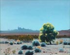 James Swinnerton Yuma Desert Thumbnail