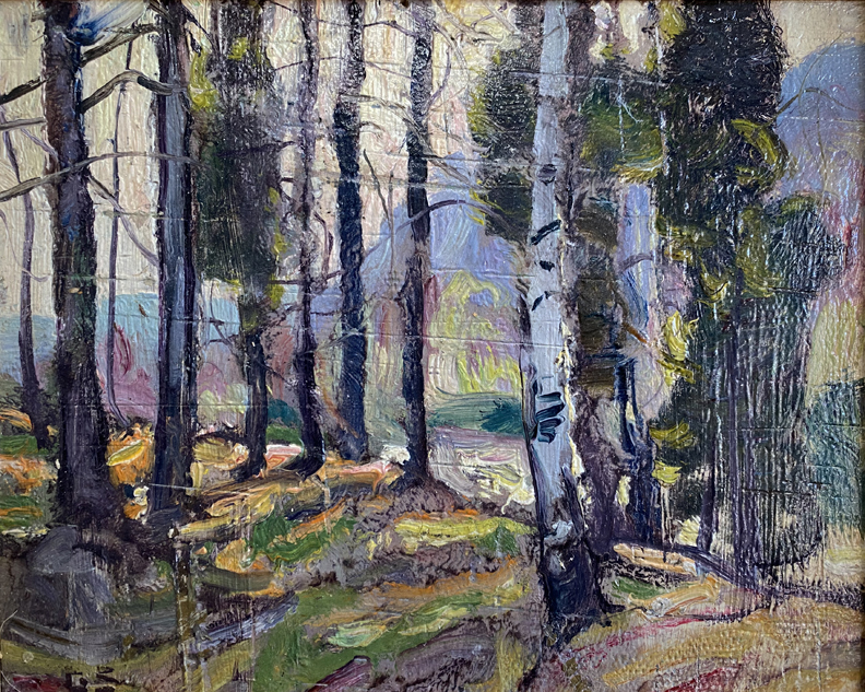George Gardner Symons New England Forest