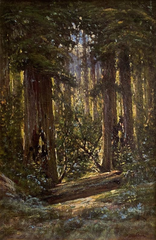 Manuel Valencia California Redwood Forest